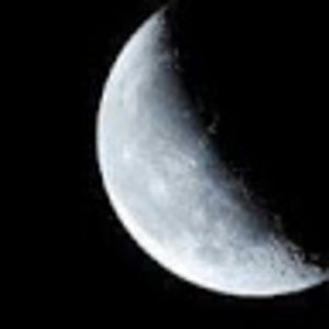 Meet your Posher, Jan